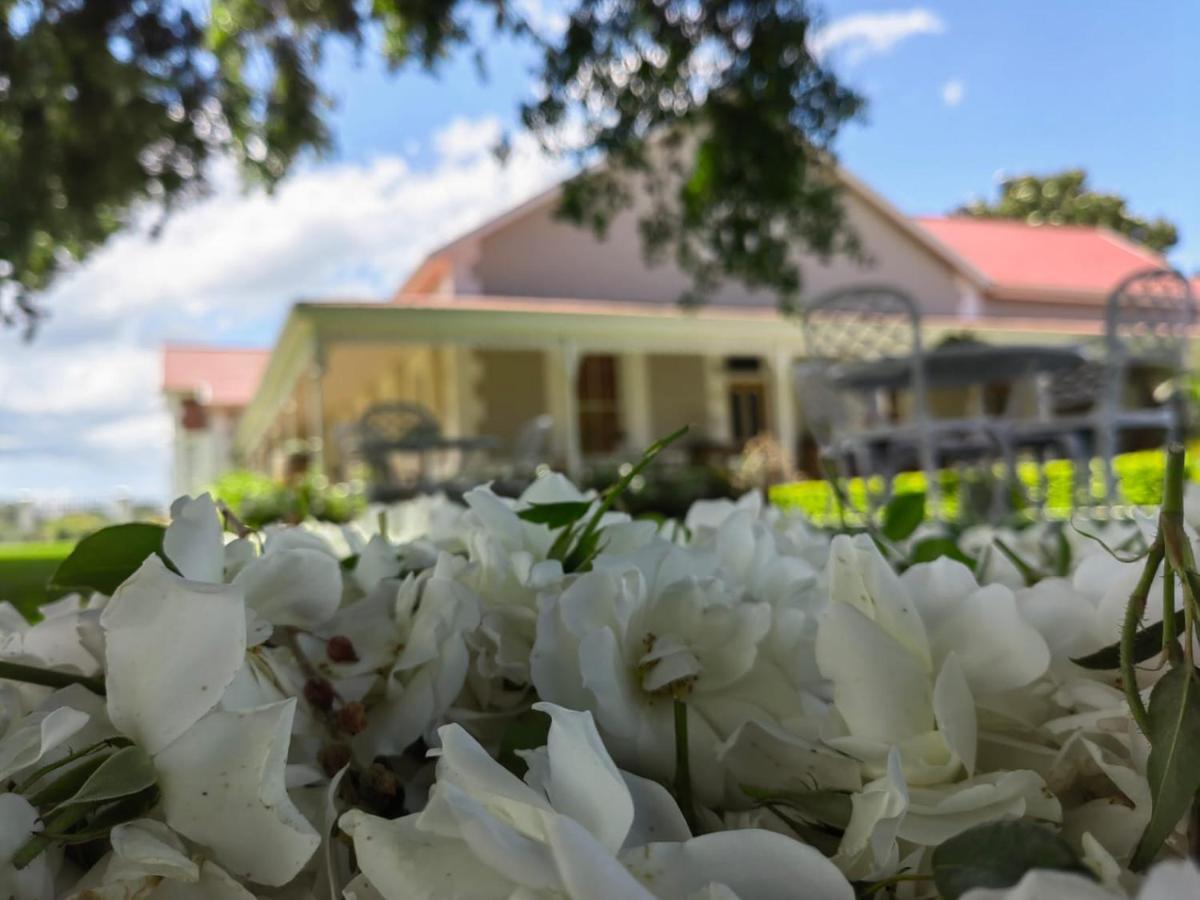 Monte Rosa Guesthouse Rawsonville Luaran gambar