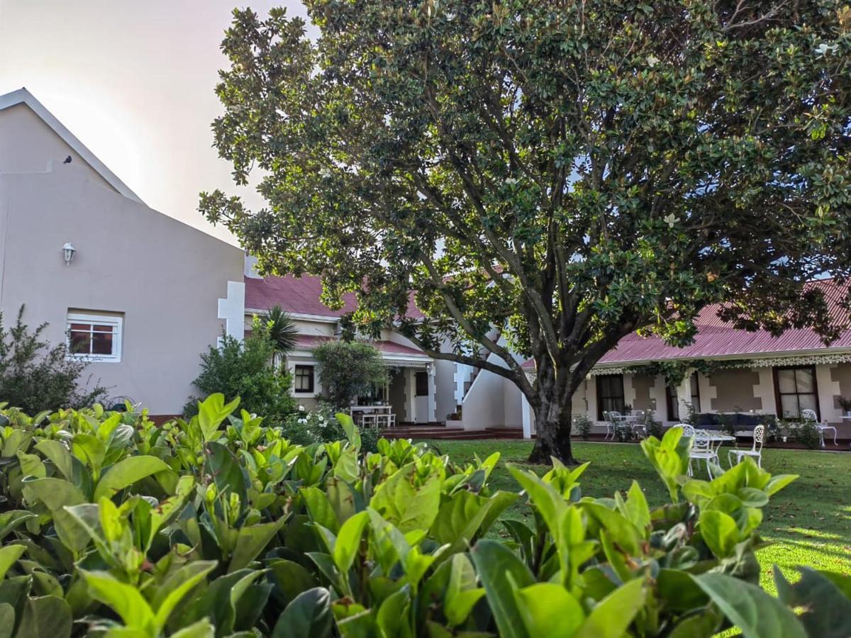 Monte Rosa Guesthouse Rawsonville Luaran gambar